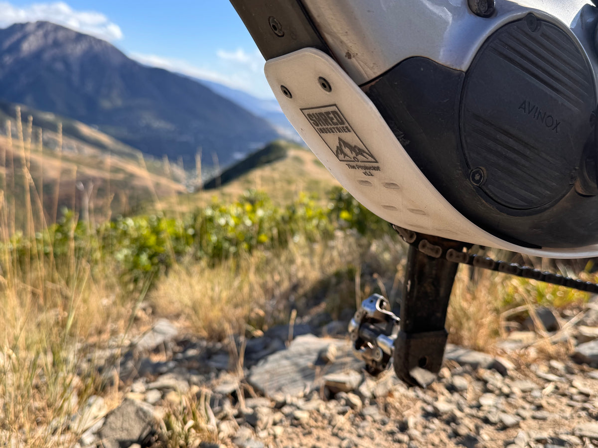 The Protector Bash Guard Skid Plate for Avinox M1 and M2S Amflow Teewing